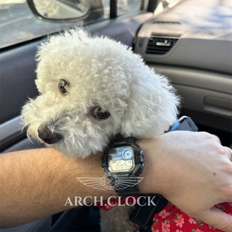 Годинник Casio WS-1700H-1A, фото 8