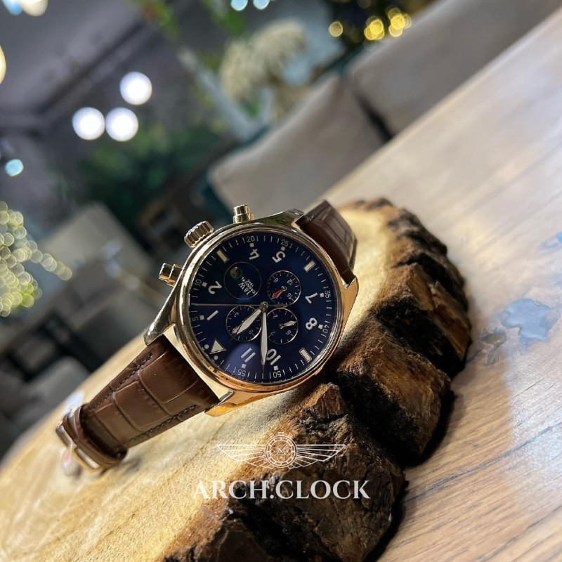 Carnival ElitCustom, фото 7