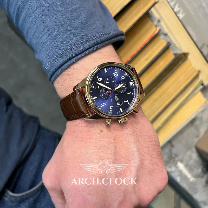 Carnival ElitCustom, фото 2