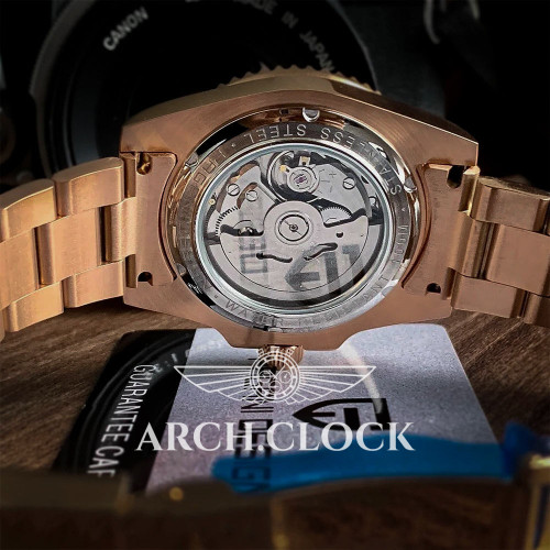 Pagani Design MasterS Gold  1651